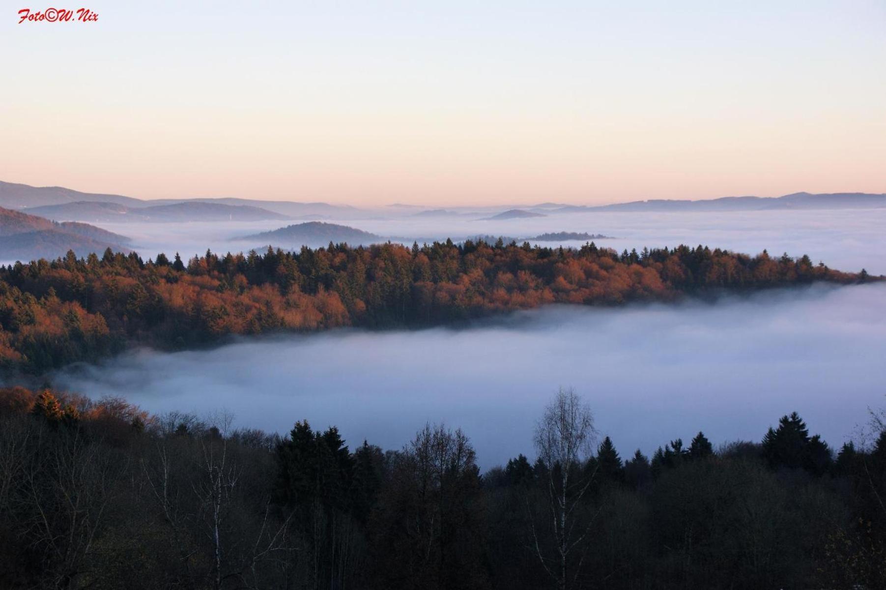 Ferienwohnung Geyersberg Inklusive Aktivcard Bayerischer Wald Freyung Eksteriør bilde